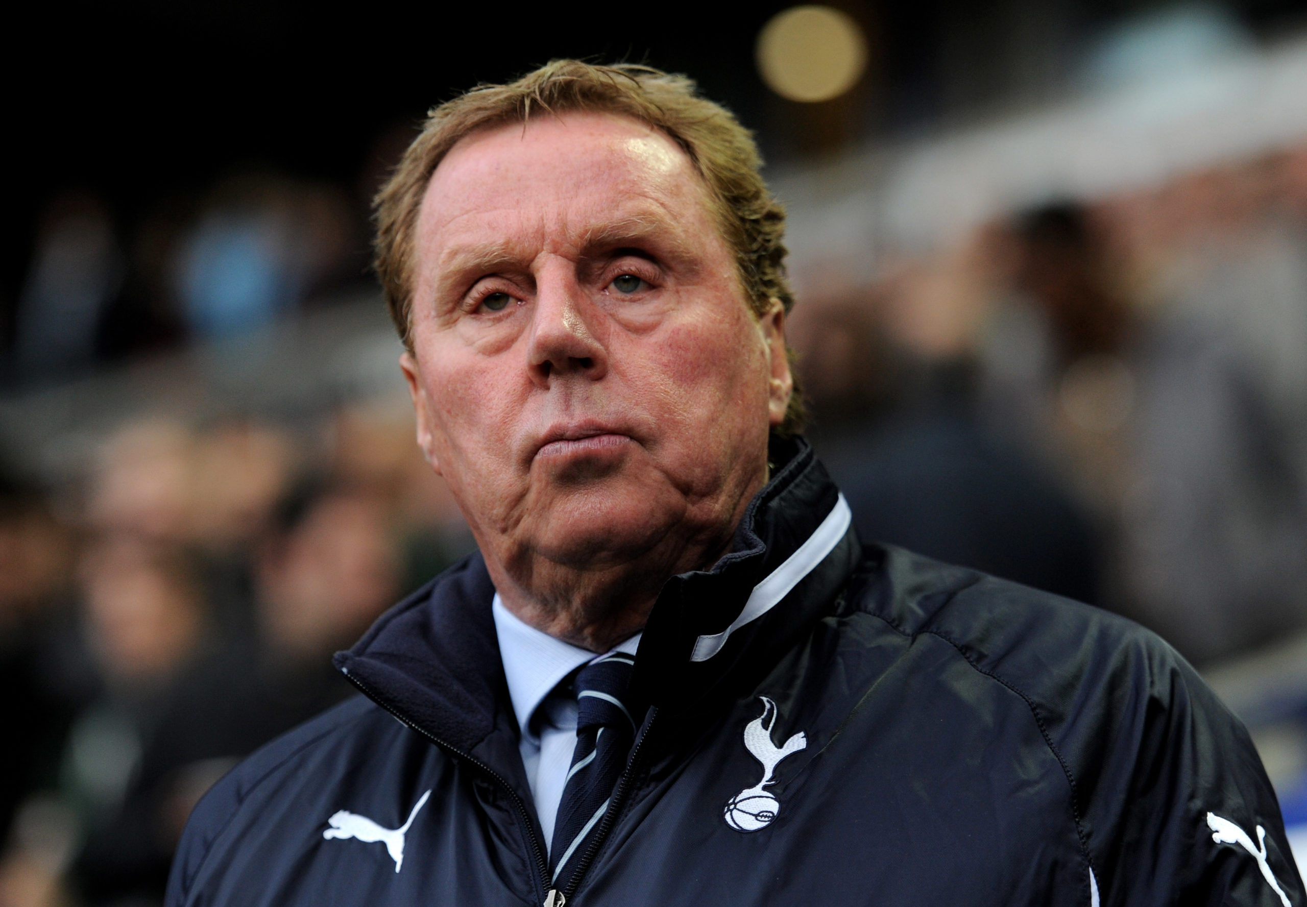 Harry Redknapp gives definitive answer on if Ryan Mason should become permanent Tottenham manager