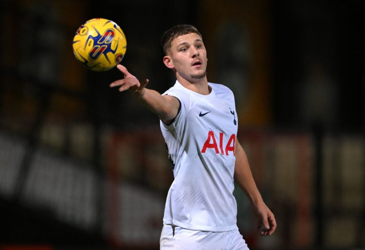 Brennan Johnson now reacts with two words after Jamie Donley makes Tottenham debut